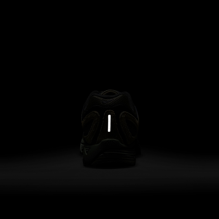 نايكي اير بيجاسوس 2005 image number 8 نايكي اير بيجاسوس 2005 image number 8