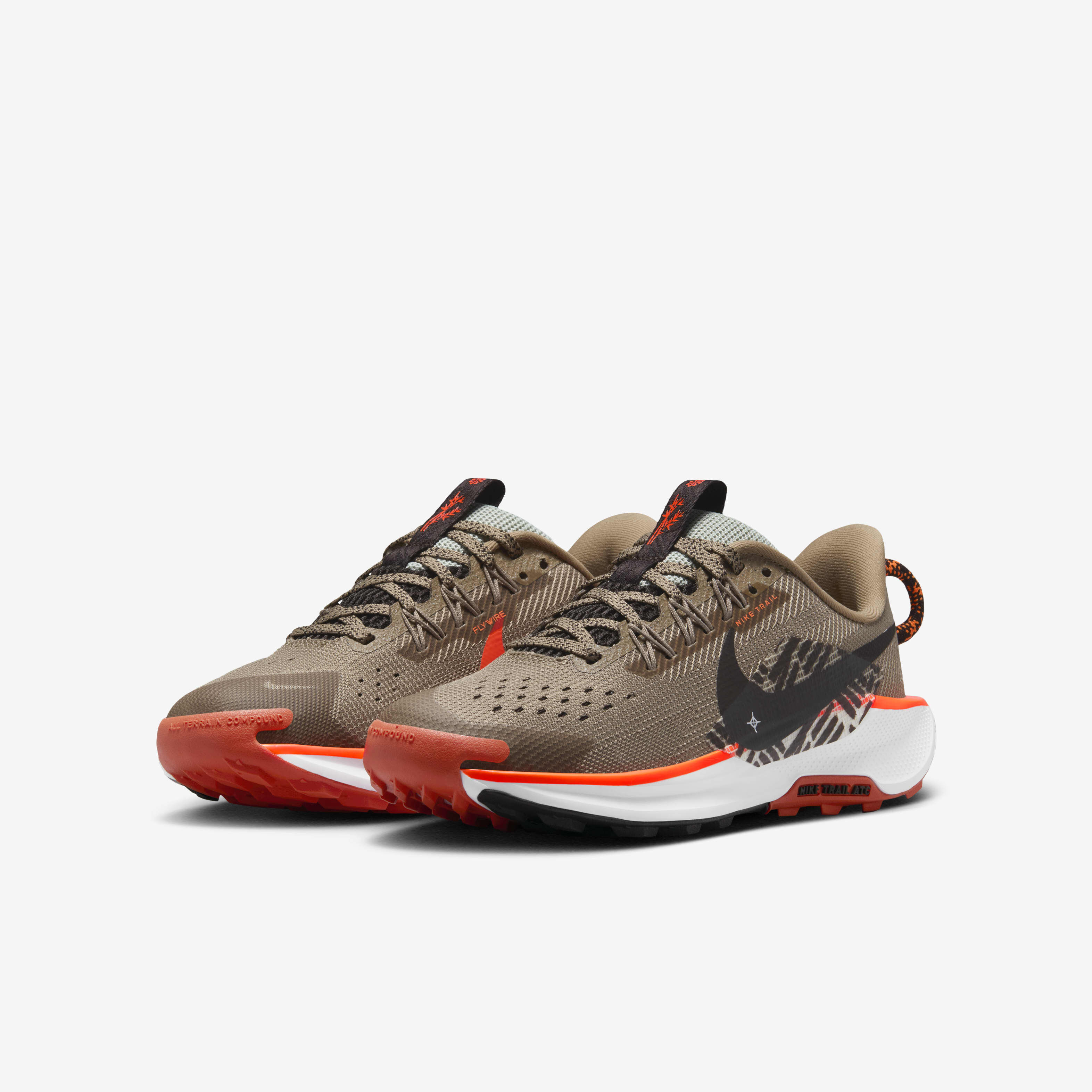 Pegasus 1 nike 2025