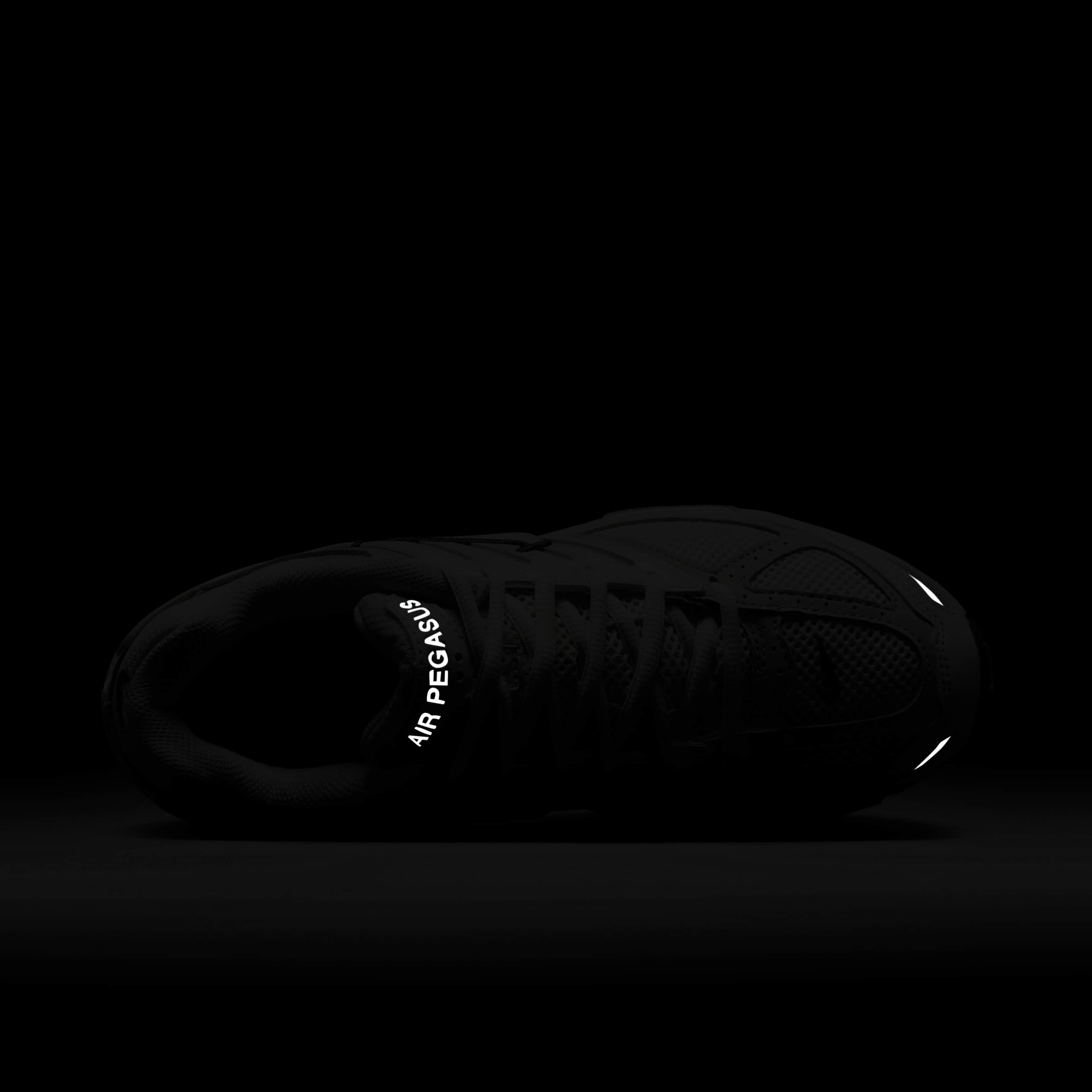 نايكي اير بيجاسوس 2005 image number 8