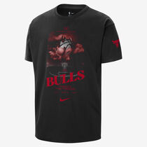 Chicago Bulls Courtside