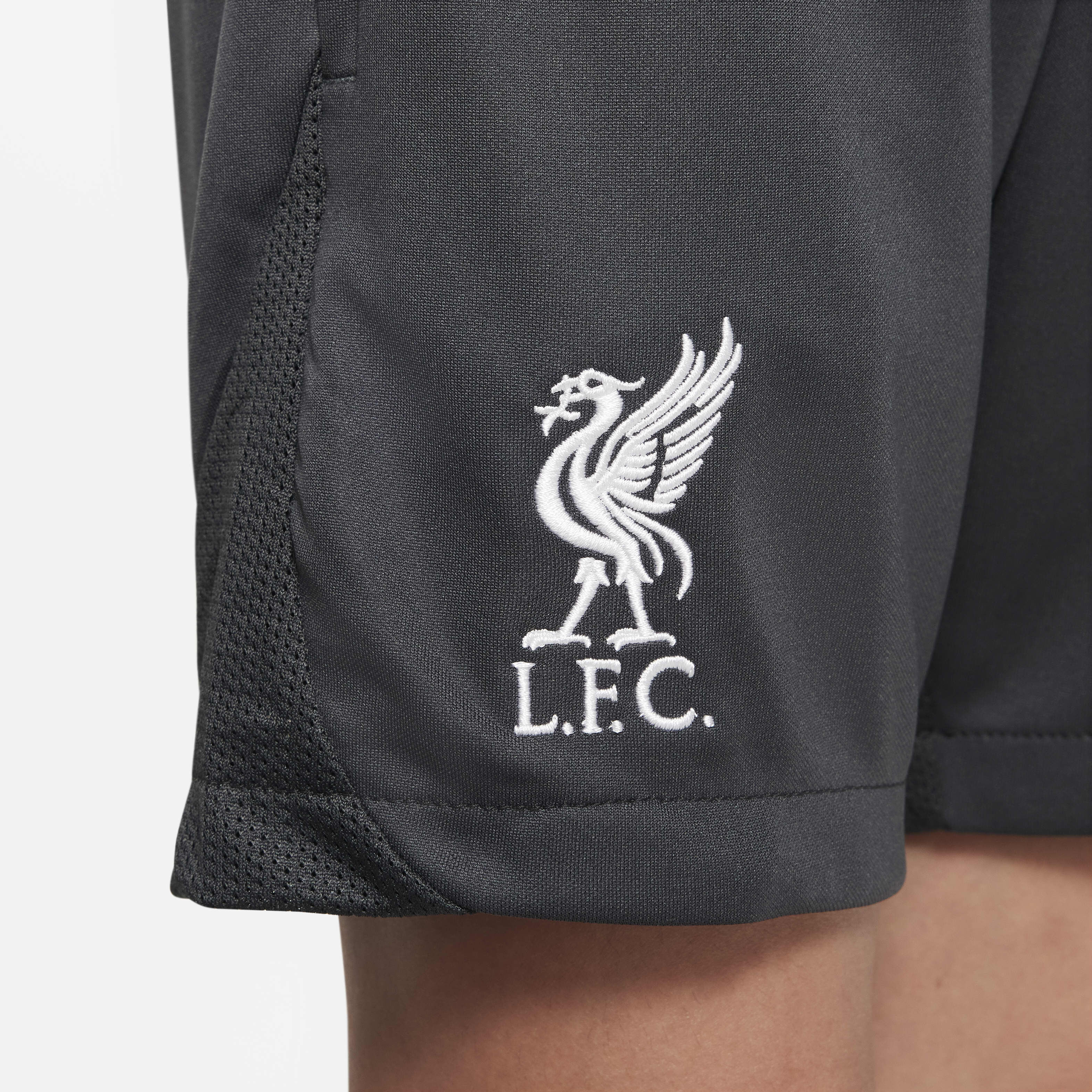 Liverpool F.C. Academy Pro image number 6