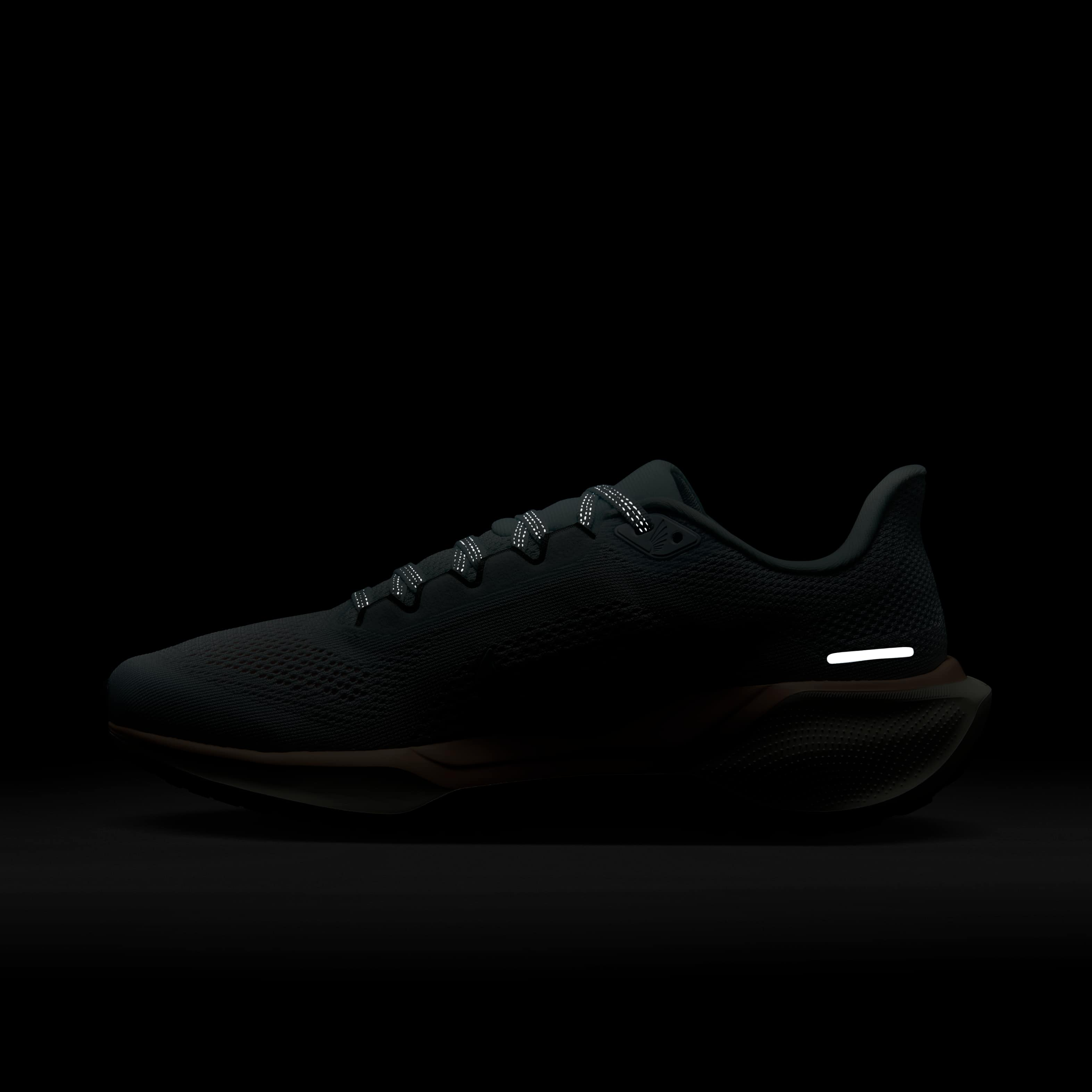 نايكي بيجاسوس 41 بريميوم image number 10