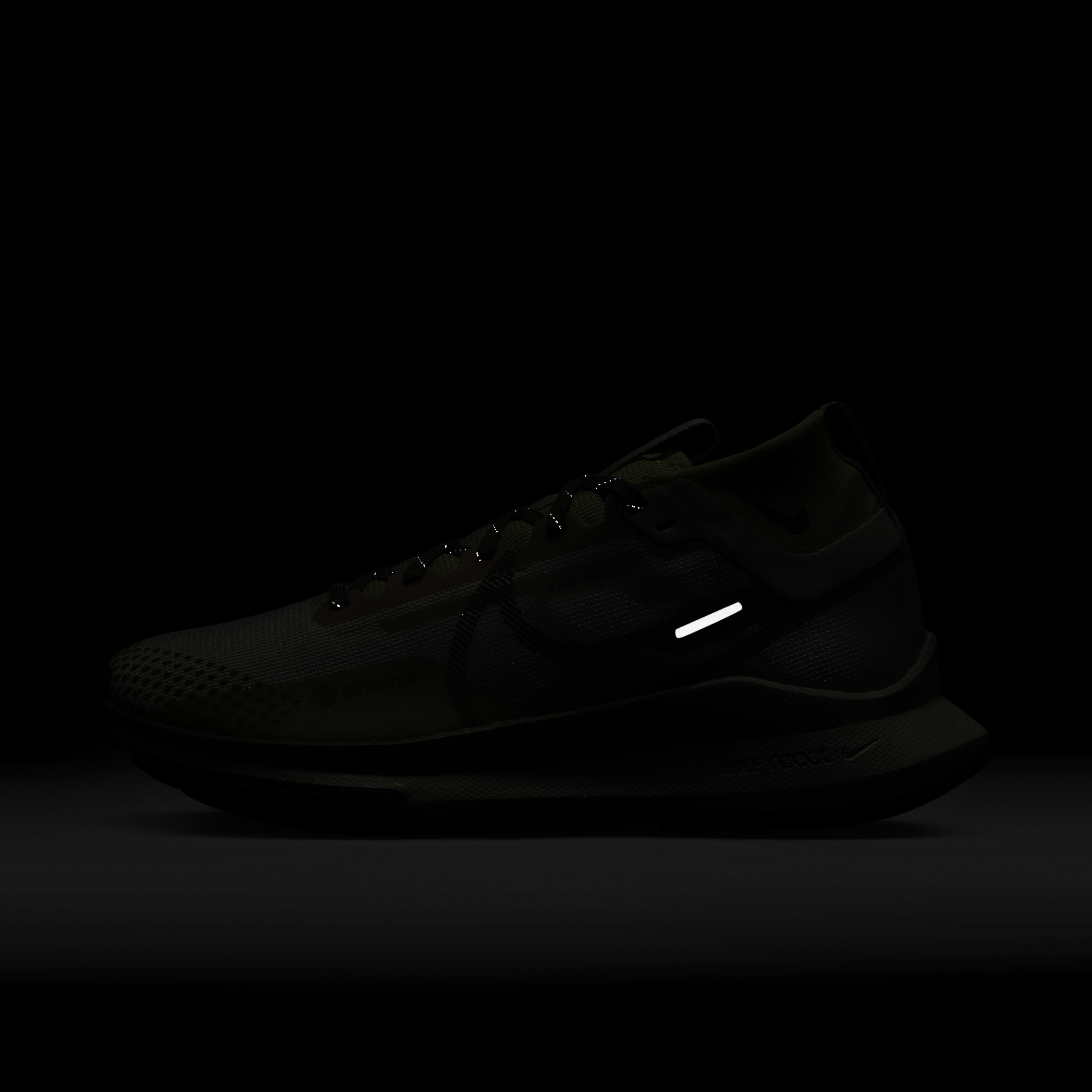 Nike Pegasus Trail 4 GORE-TEX image number 9
