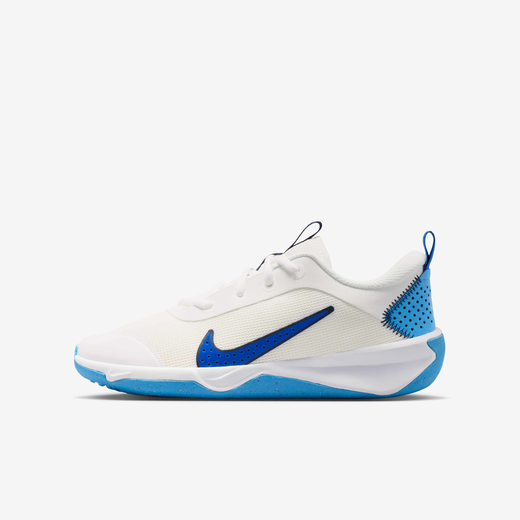 Nike Omni Multi-Court