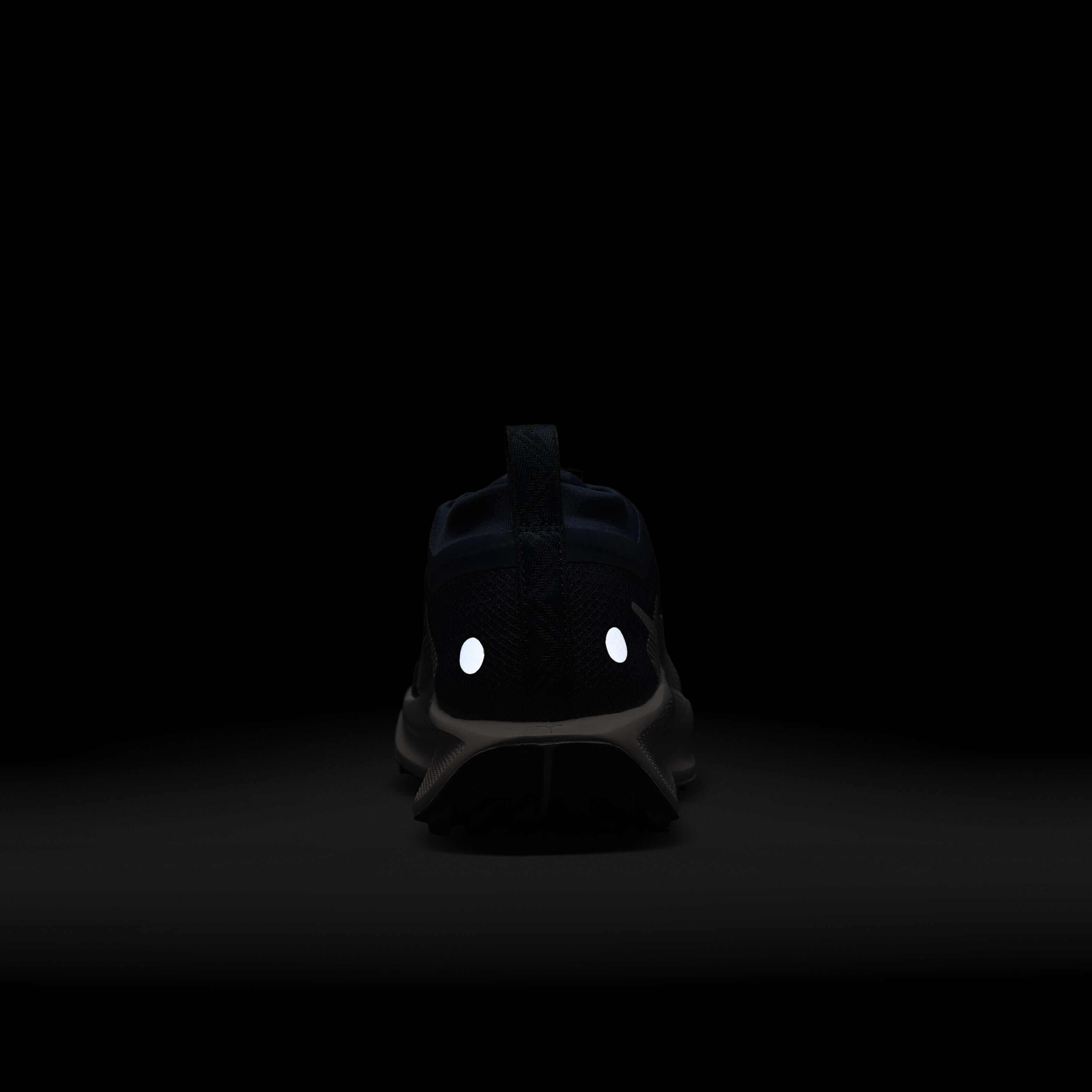 Nike Pegasus Trail 5 GORE-TEX image number 9