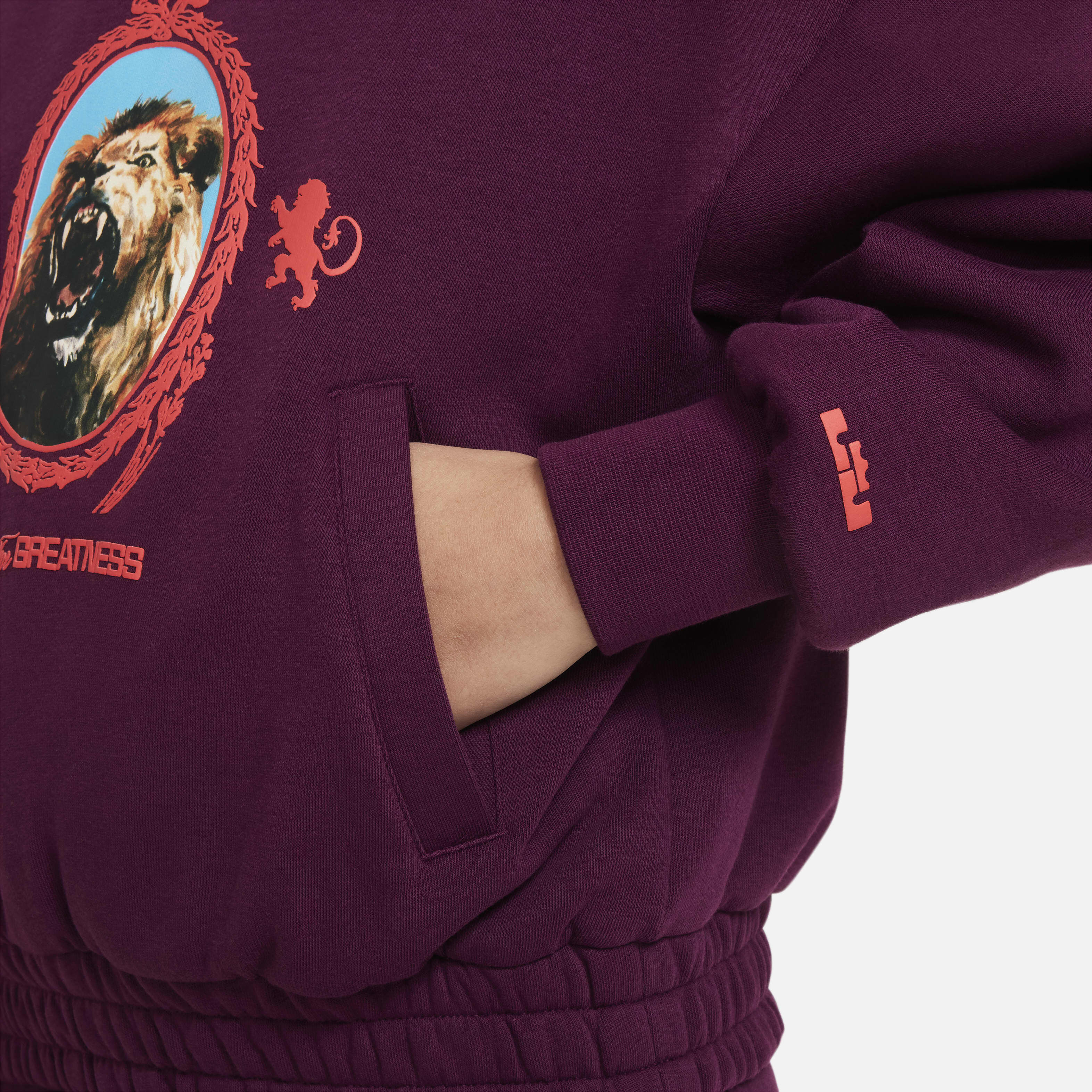 ليبرون image number 3