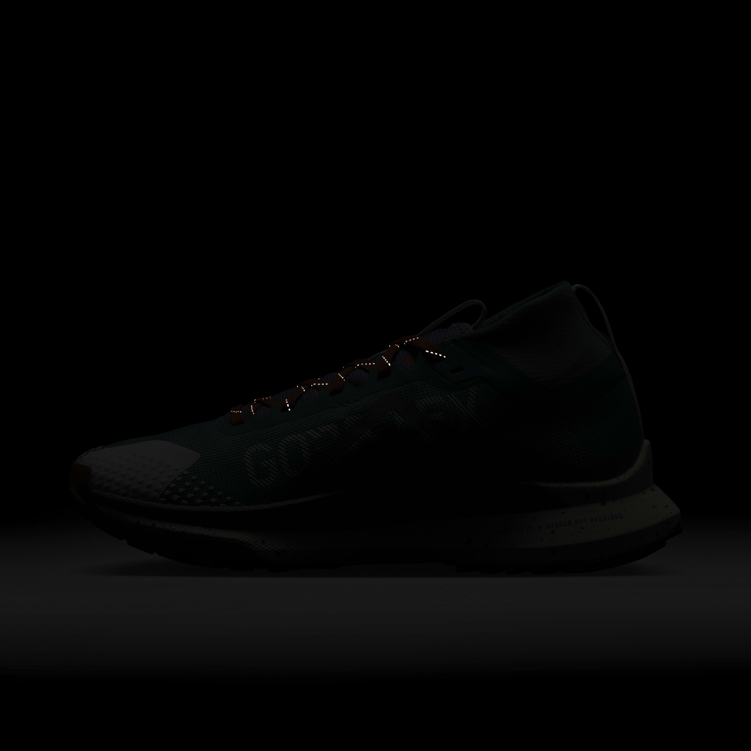 Nike Pegasus Trail 4 GORE-TEX image number 9
