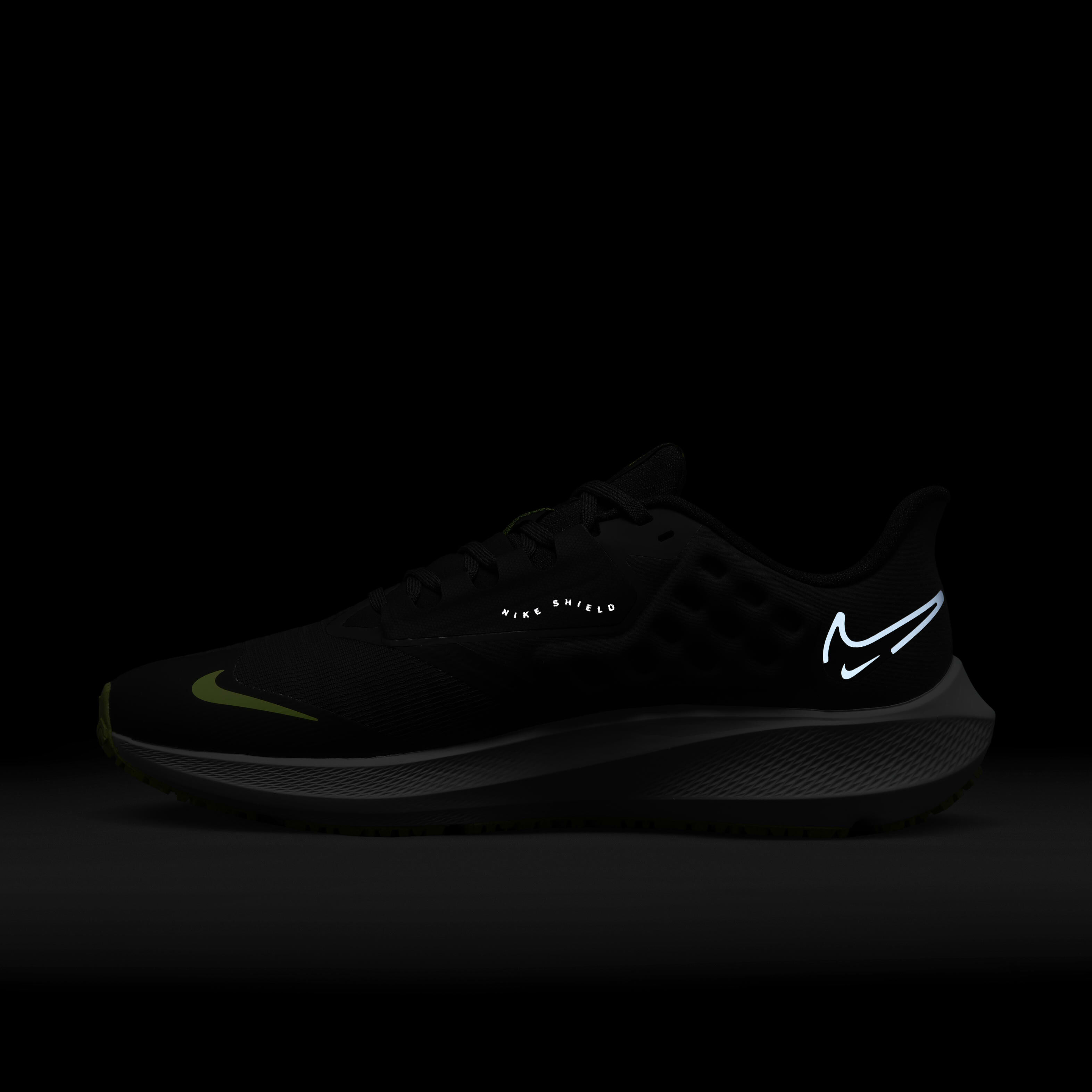 Nike Pegasus 39 Shield image number 10