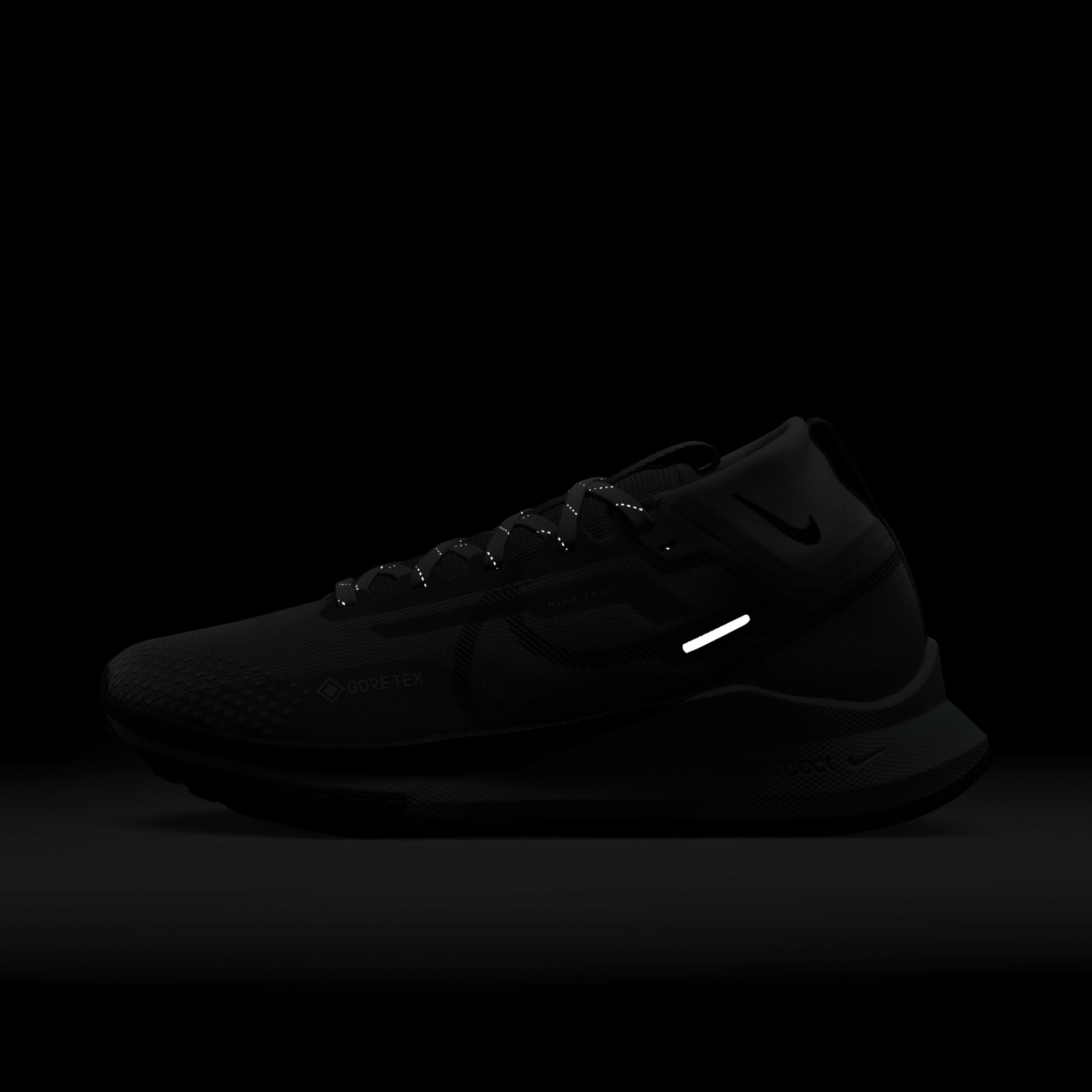 Nike Pegasus Trail 4 GORE-TEX image number 9