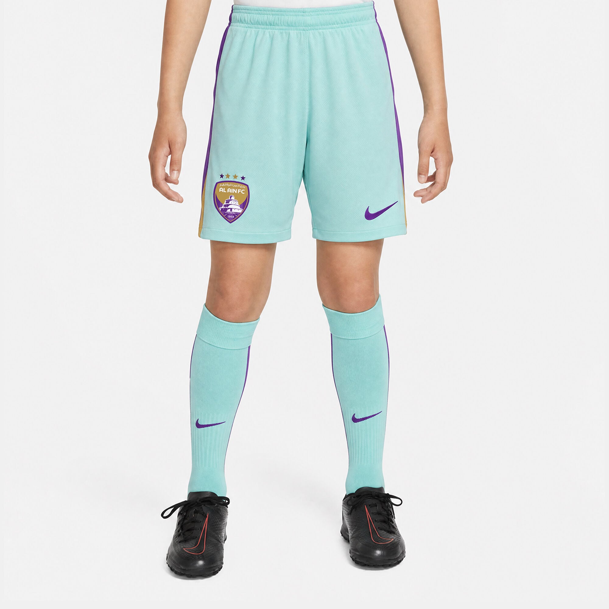 Al Ain FC 2025/26 Stadium 3rd image number 0