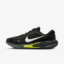 Nike Journey Run