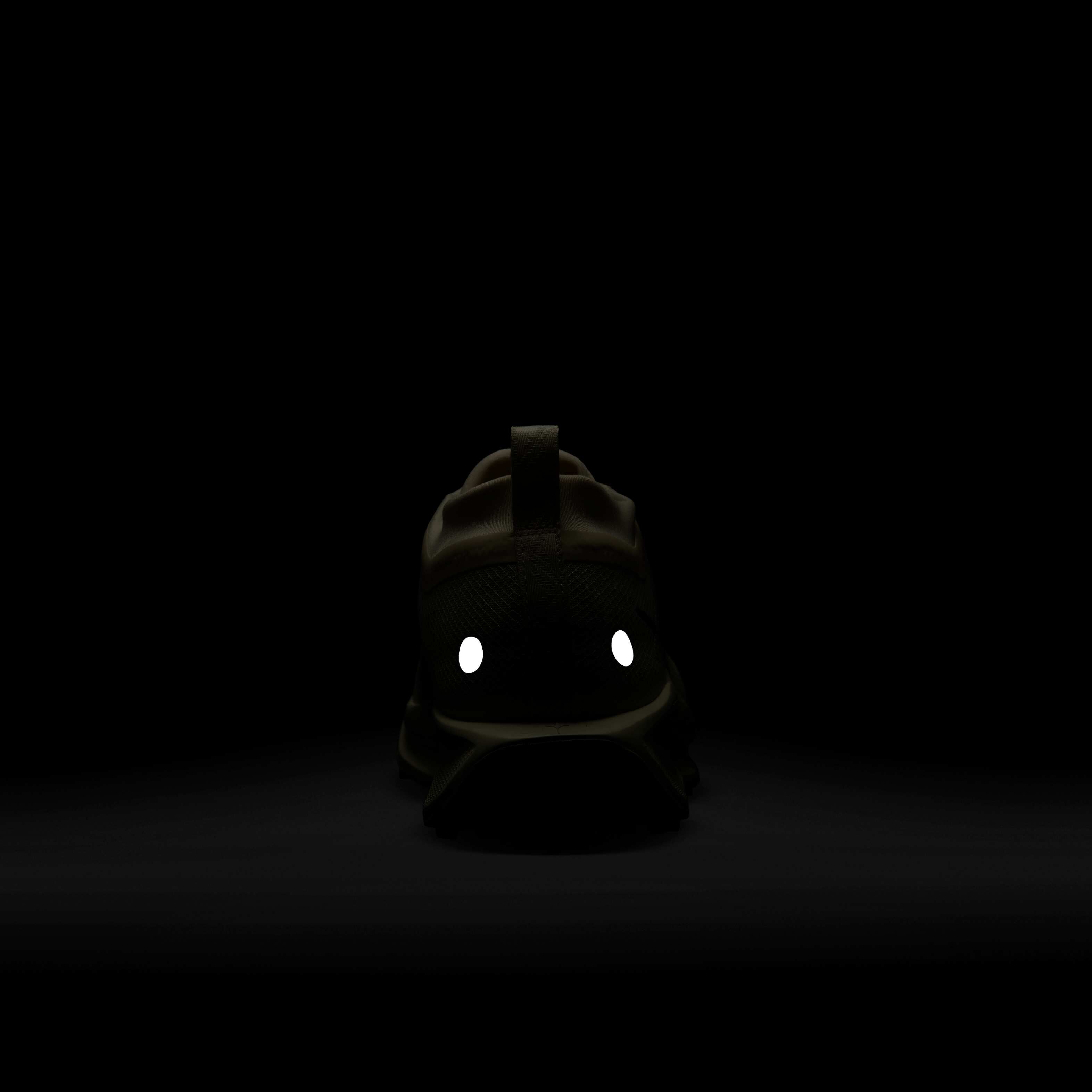 Nike Pegasus Trail 5 GORE-TEX image number 8