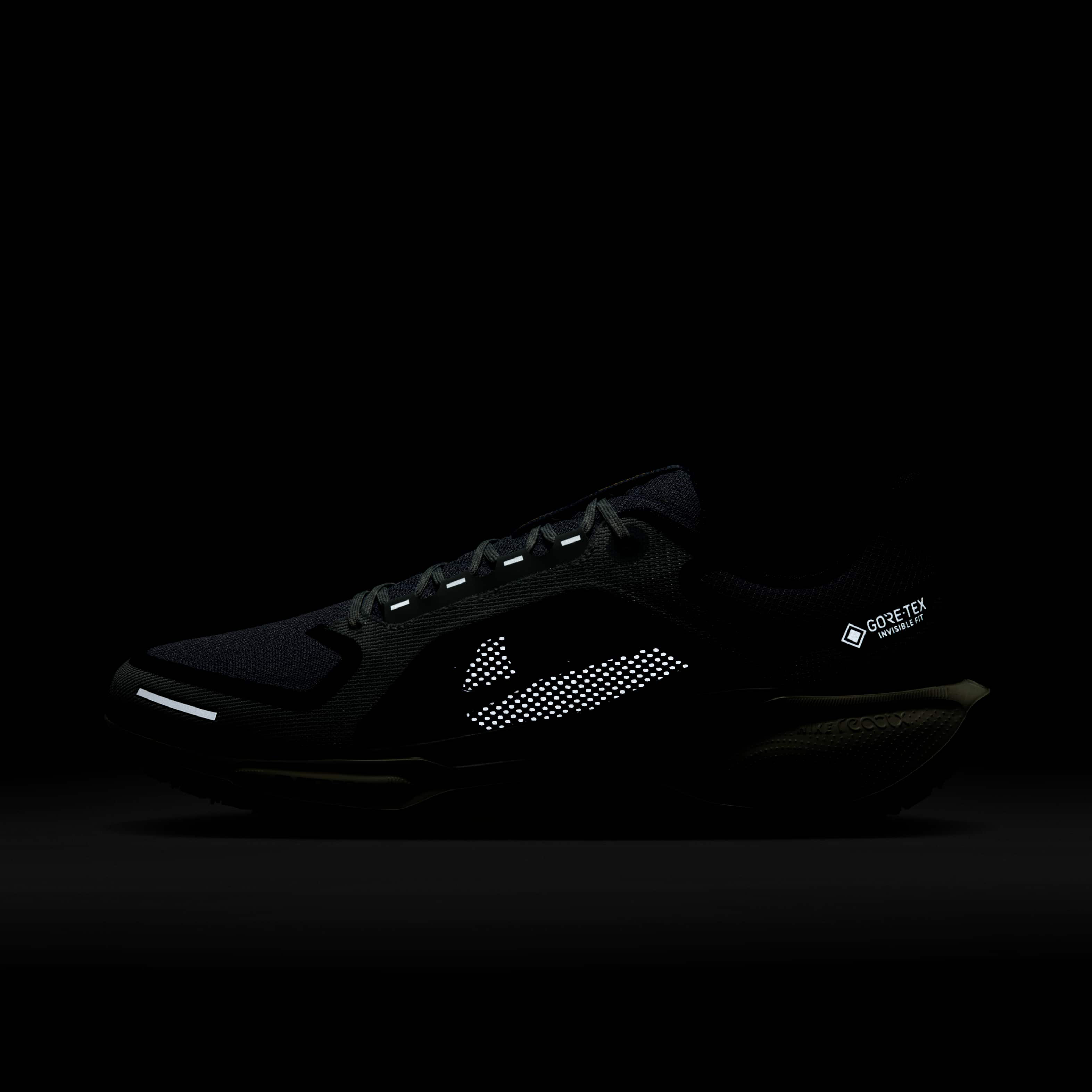 Nike Pegasus 41 GORE-TEX image number 10