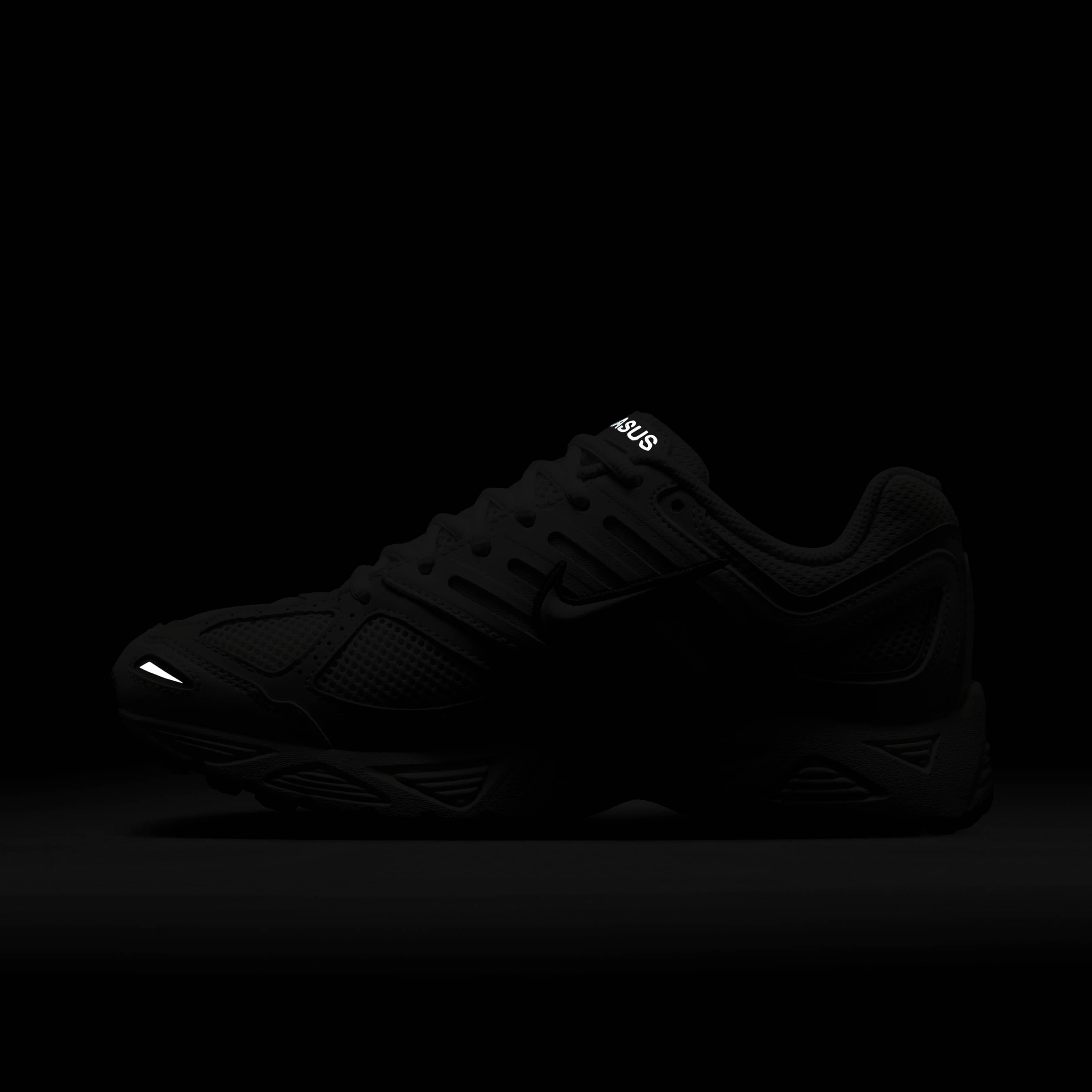 نايكي اير بيجاسوس 2005 image number 11