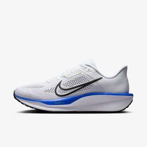 Nike Quest 6