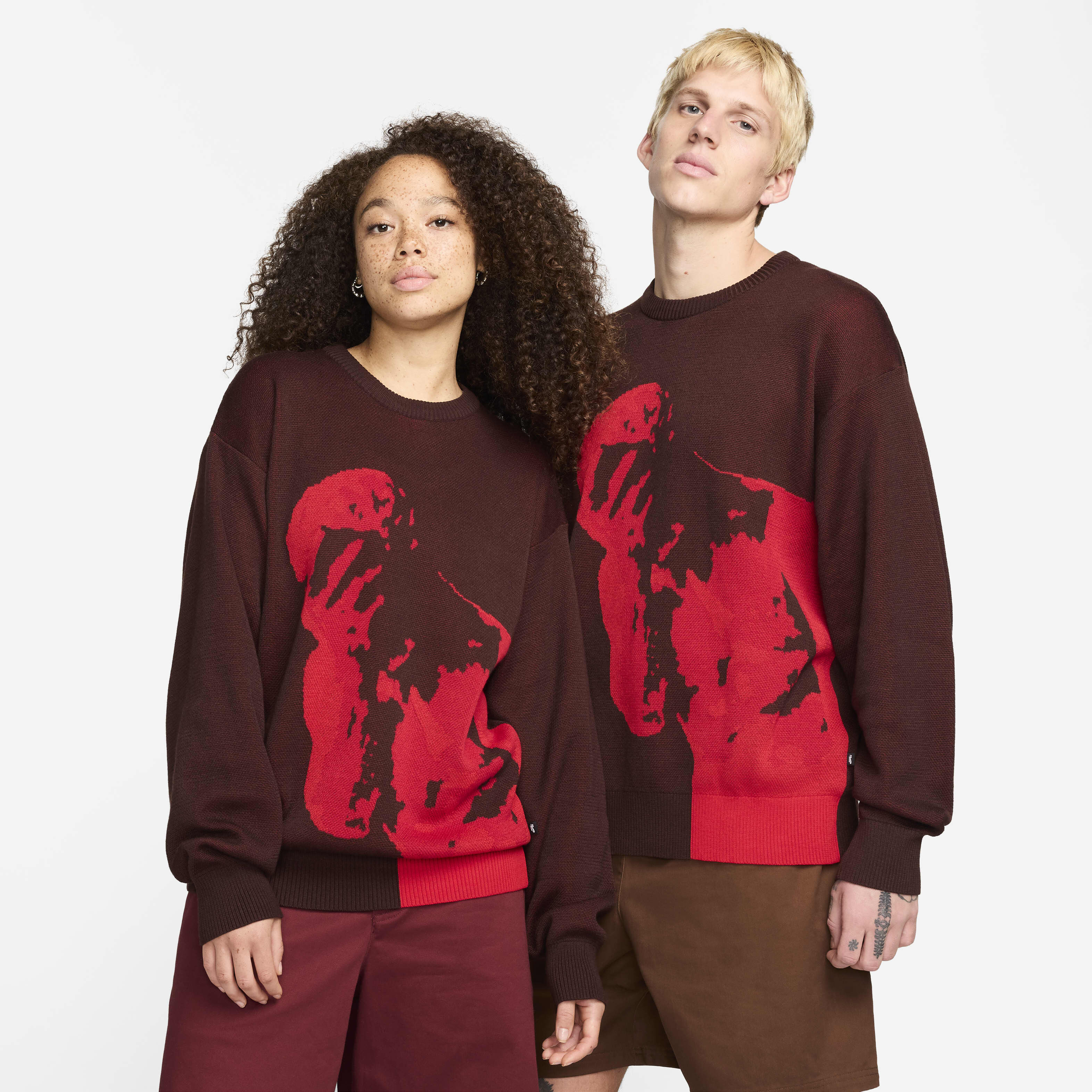 Nike SB image number 0