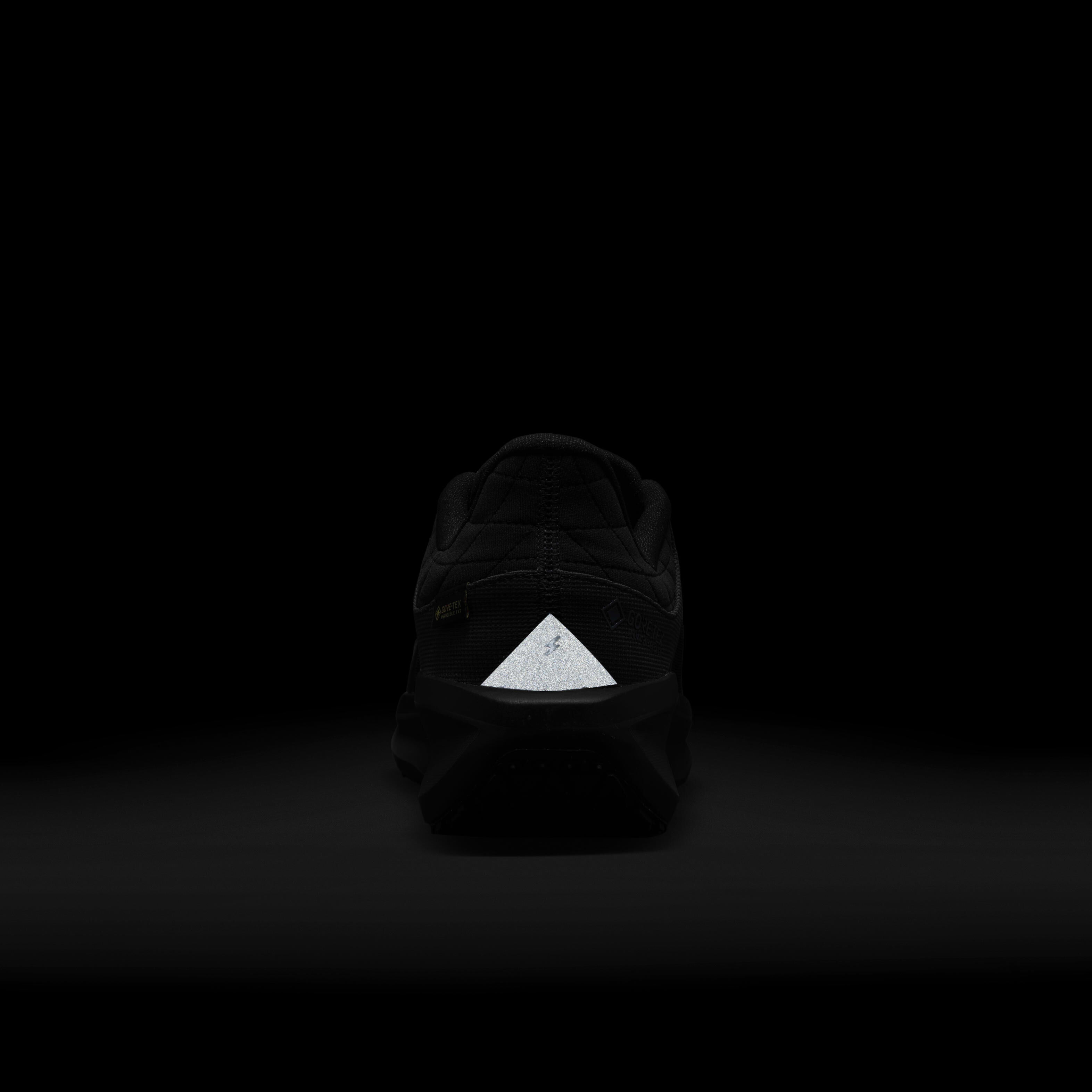 Nike Winflo 11 GORE-TEX image number 8