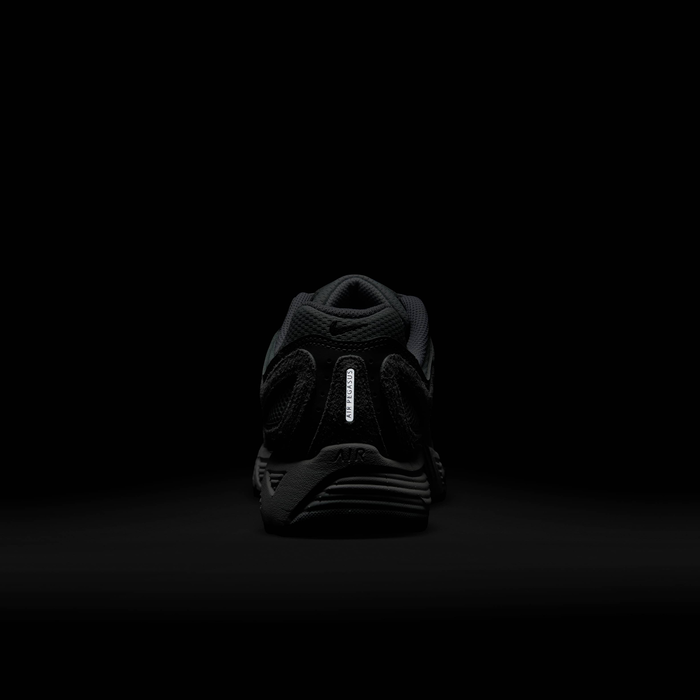 نايكي اير بيجاسوس 2005 image number 9 نايكي اير بيجاسوس 2005 image number 9