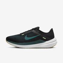 Nike Winflo 10