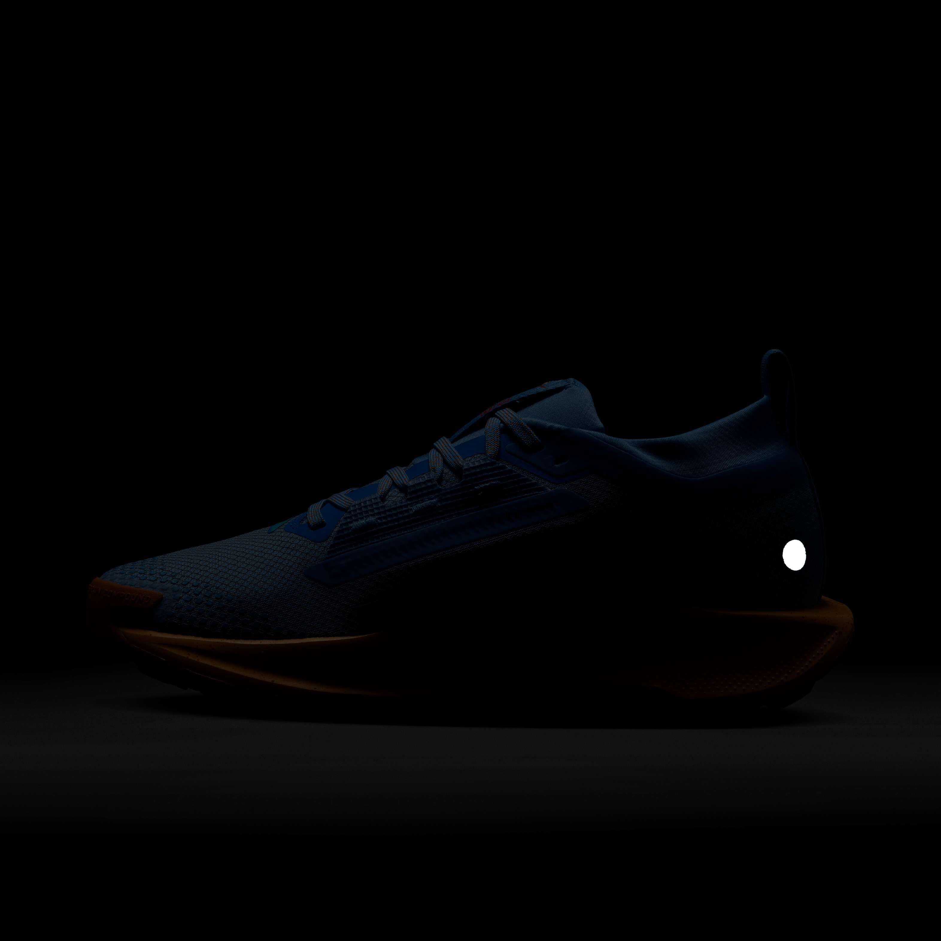 Nike Pegasus Trail 5 GORE-TEX image number 8