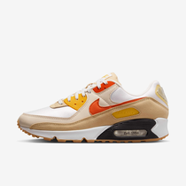 Nike Air Max 90 SE