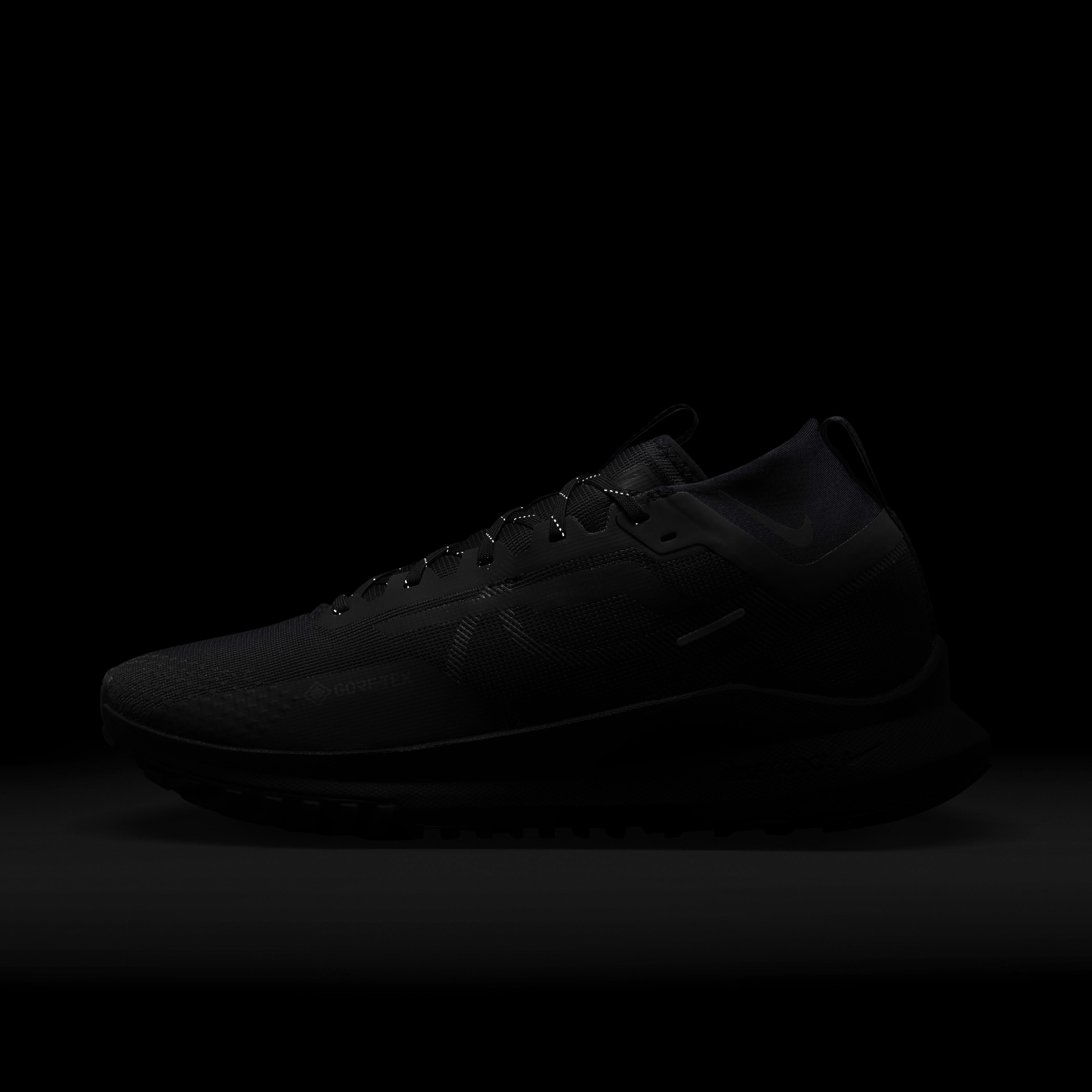 Nike Pegasus Trail 4 GORE-TEX image number 9