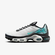 Nike Air Max Plus 'Mercurial Vapor'