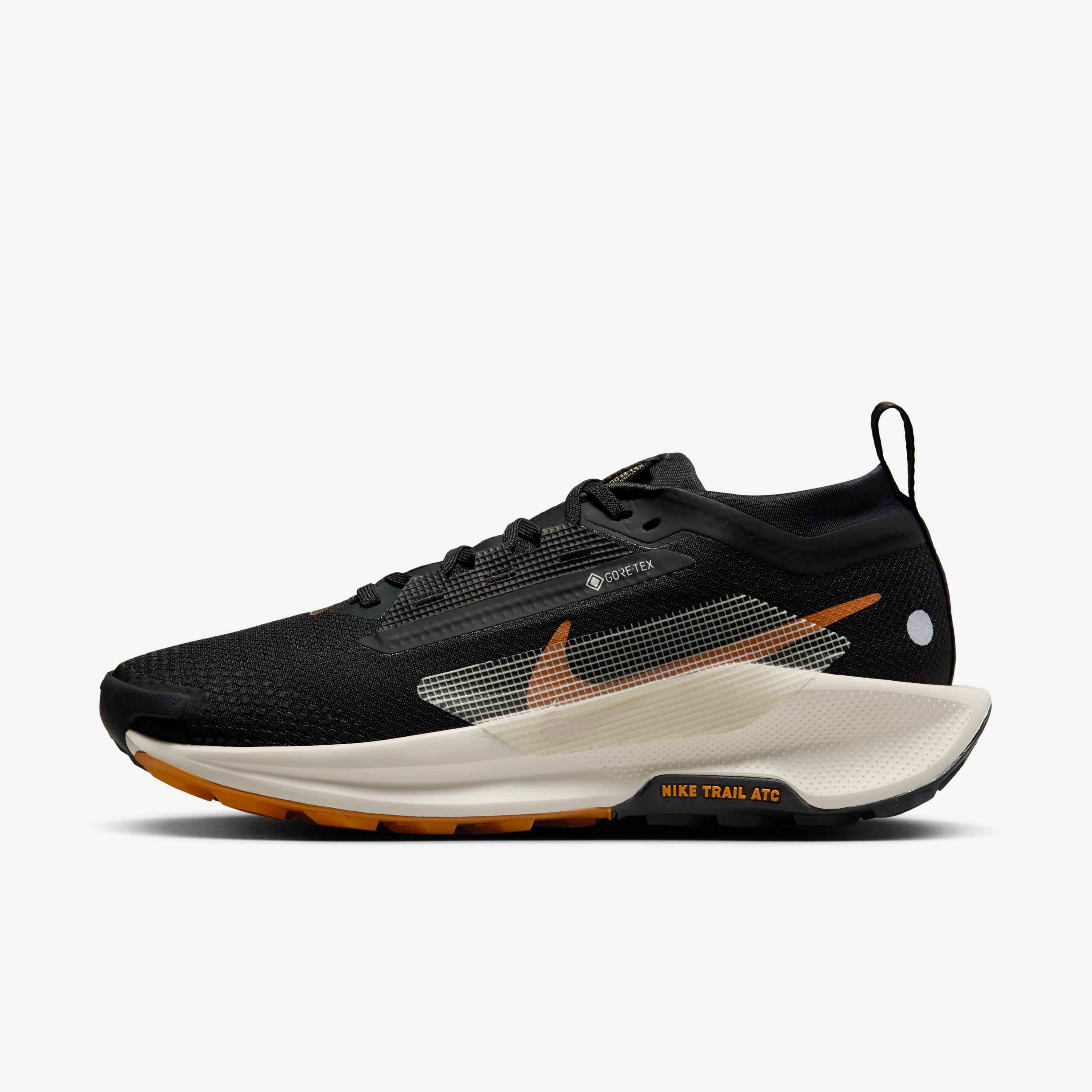 Nike Pegasus Trail 5 GORE-TEX image number 0