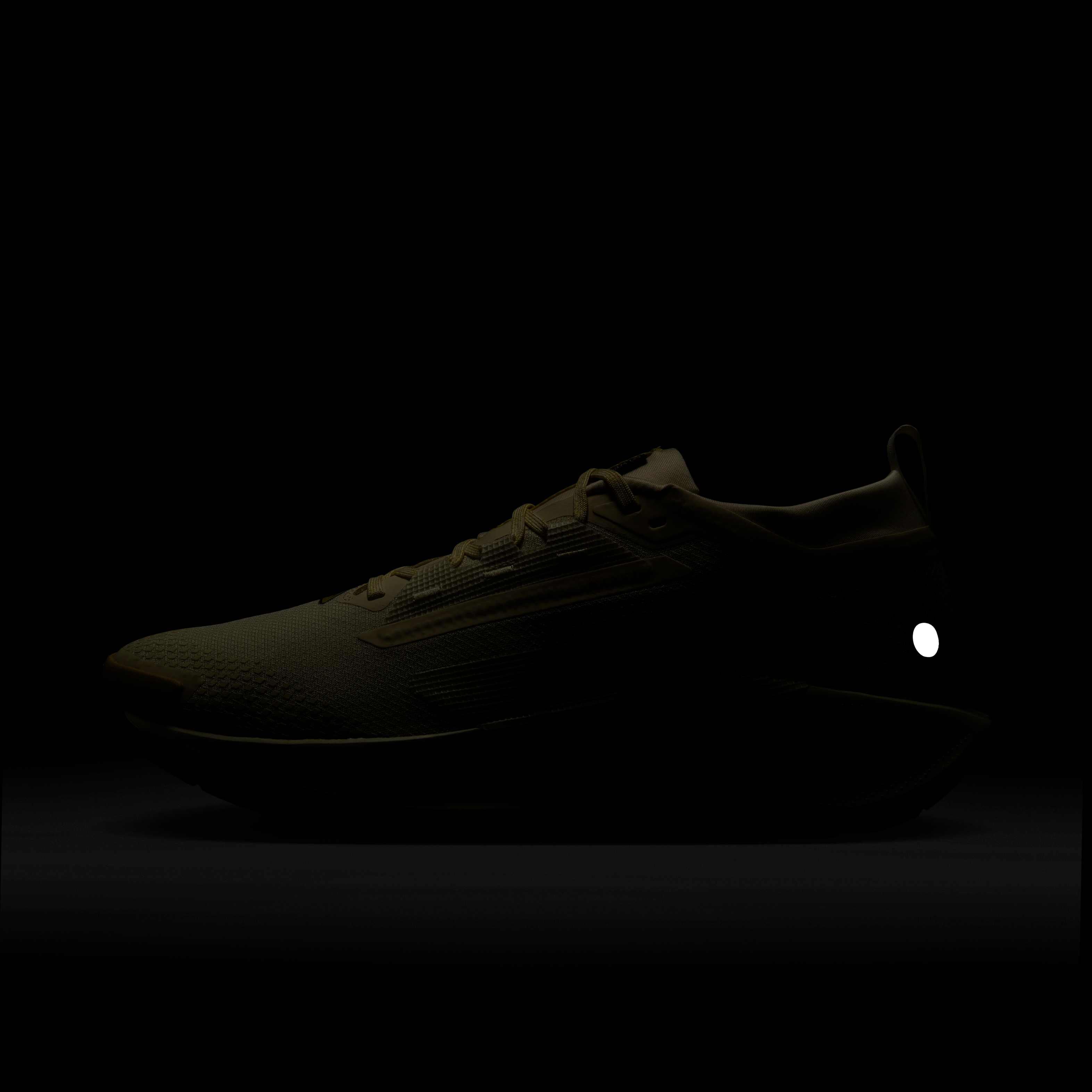 Nike Pegasus Trail 5 GORE-TEX image number 9