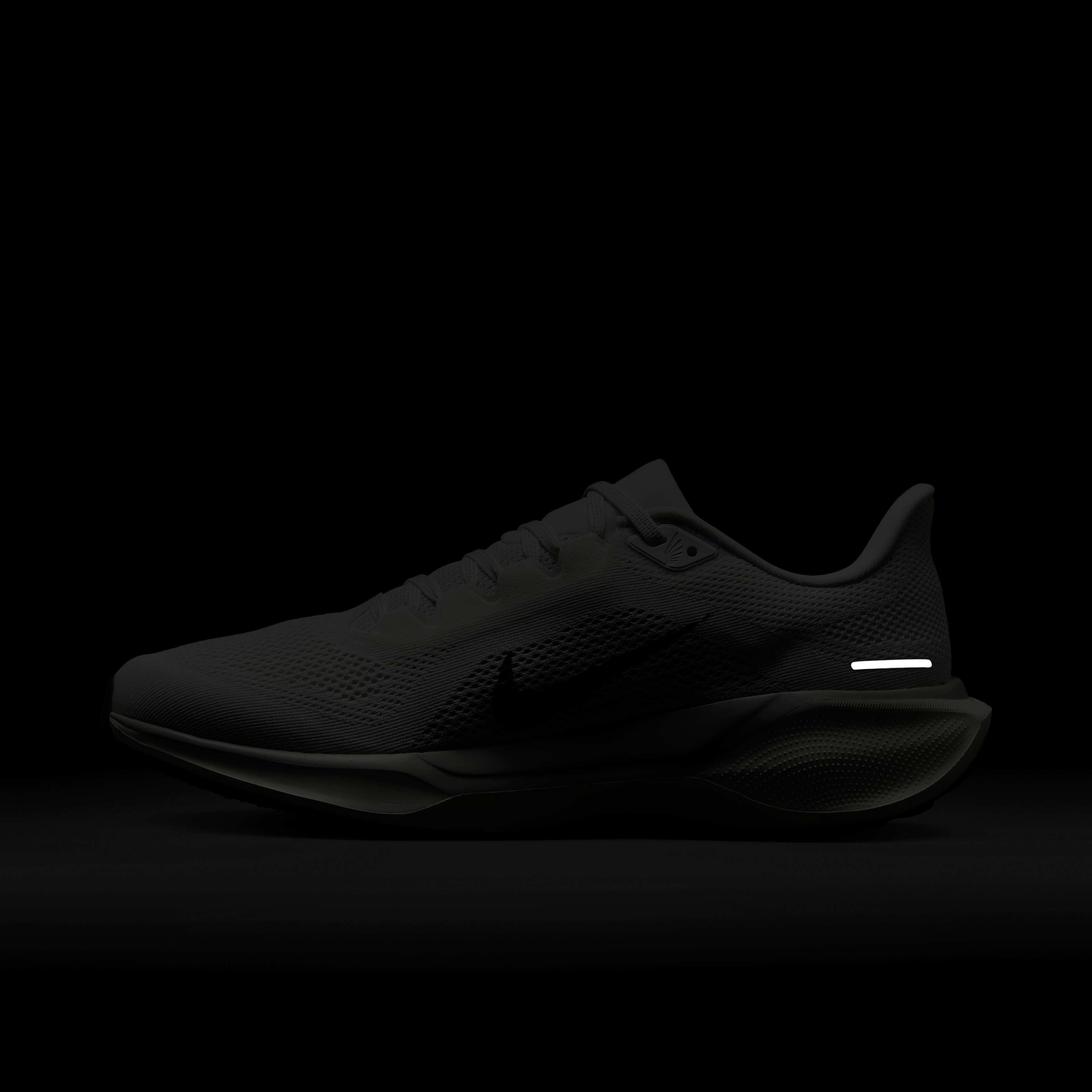 نايكي بيجاسوس 41 image number 10