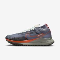 Nike Pegasus Trail 4 GORE-TEX
