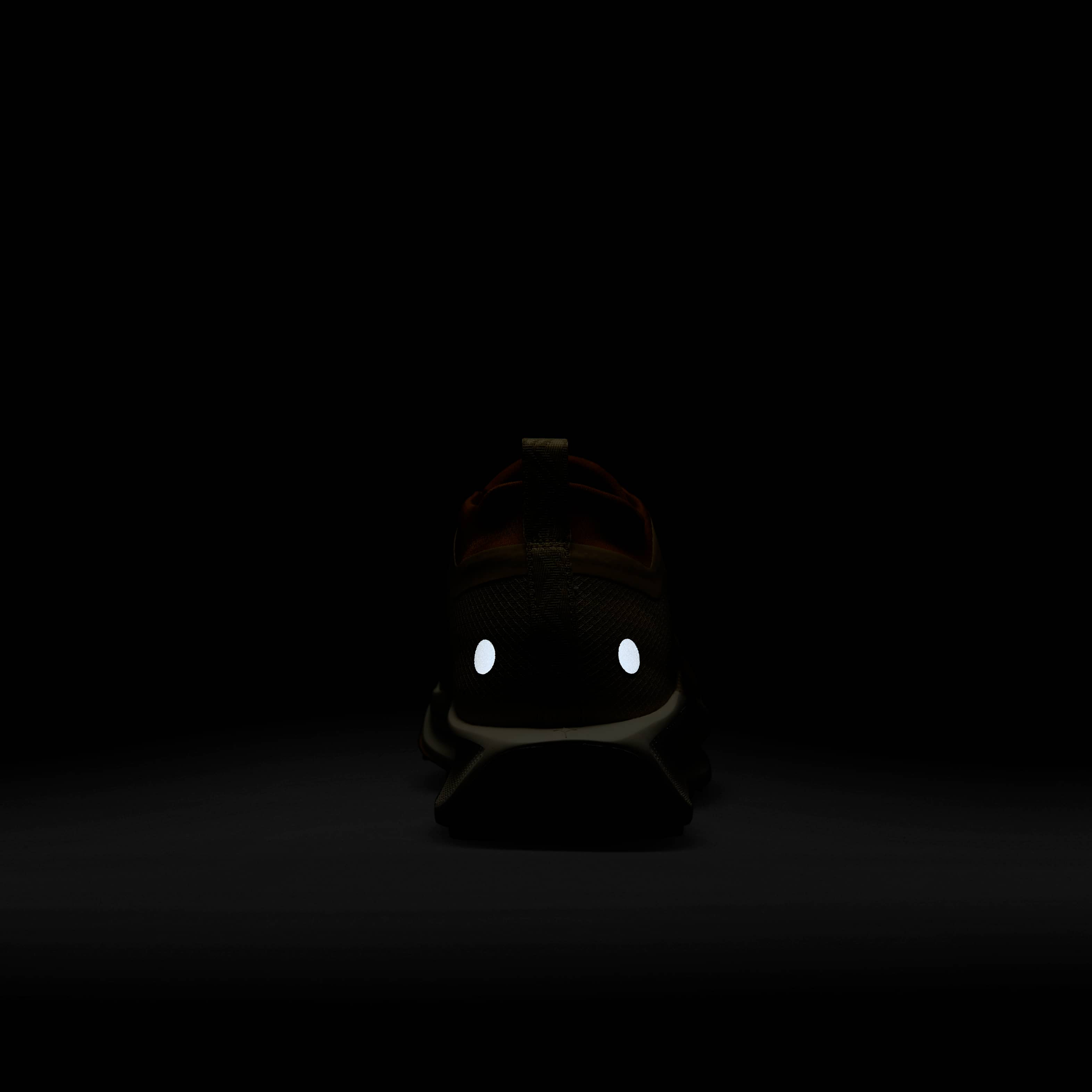 Nike Pegasus Trail 5 GORE-TEX SP image number 8